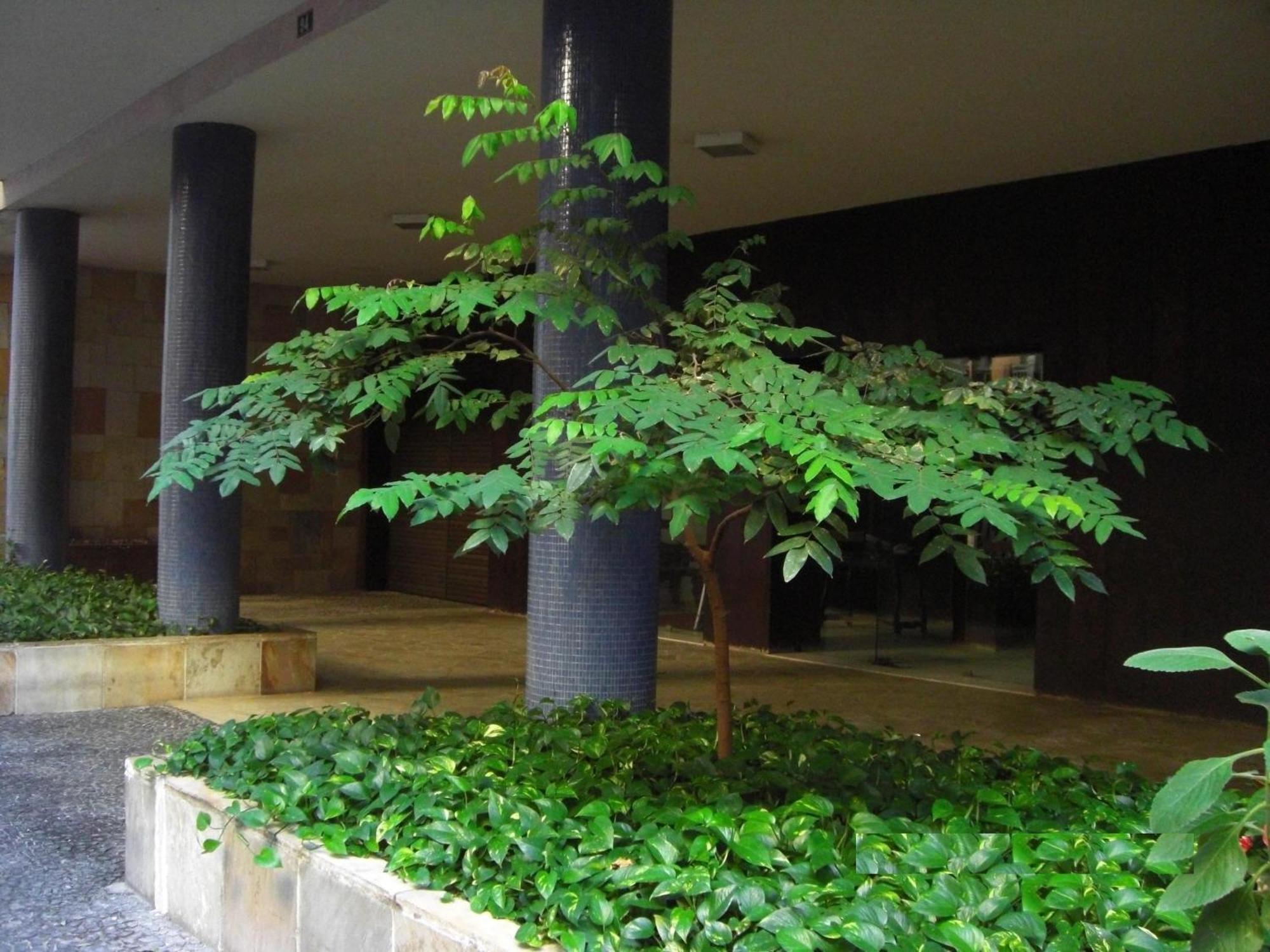 Albergue Ipanema Copa